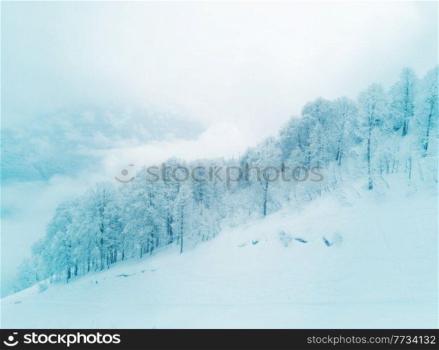 Winter coniferous forest in winter moutains, view on ski slope Solden, Austria. Mountain winter slope