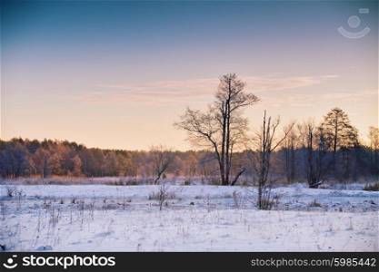 Winter dawn in Belarus. Sunrise in winter morning. Snow landscape