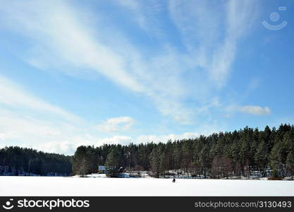 Winter day in forest and blue sky landscape