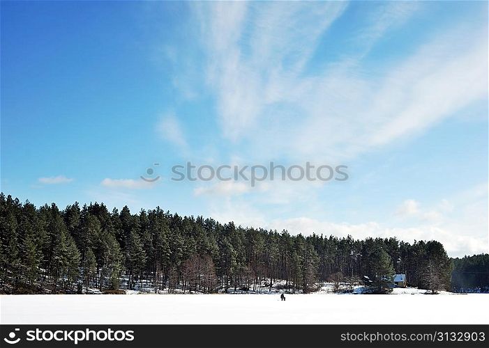 Winter day in forest and blue sky landscape