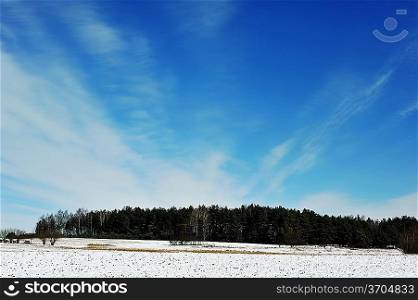 Winter day in forest and blue sky landscape