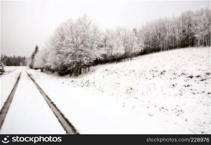 Winter day in the Cypress Hills of Saskatchewan
