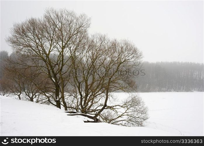 Winter day, snow-covered riverbank, ice, water and trees.