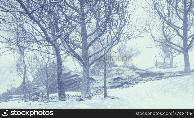 winter deciduous forest on a foggy morning
