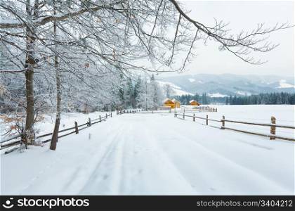 winter dull country mountain landscape with fence and firs forest