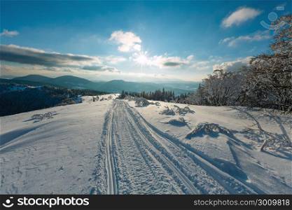 Winter evening sunshiny calm mountain landscape with beautiful frosting trees, footpath and ski track through snowdrifts on mountain slope (Carpathian Mountains, Ukraine)