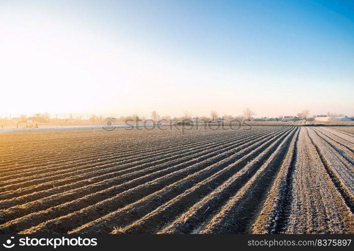 Winter farm field ready for new planting season. Agriculture and agribusiness. Preparatory agricultural work for spring. Choosing right time for sow fields plant seeds, protection from spring frosts.