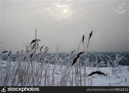 Winter field in the snow and cloudy sky