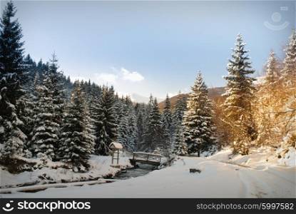 Winter fir-tree forest with snow covered trees and path. Winter fir-tree forest