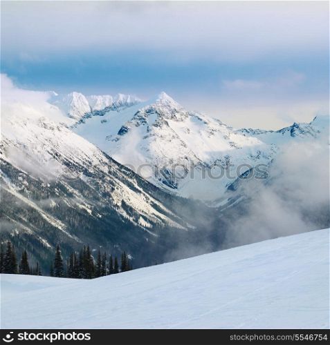 Winter fir trees in mountains covered with fresh snow
