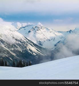 Winter fir trees in mountains covered with fresh snow