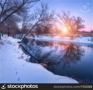 Winter forest and river at sunset. Colorful landscape with trees, river with reflection in water in cold evening. Forest, lake, sun and purple sky. Beautiful snowy winter. Christmas background. Nature. Winter landscape with trees reflected in river at sunset