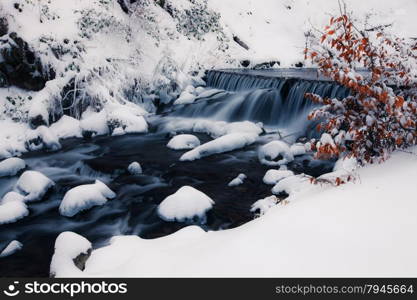 Winter forest creek