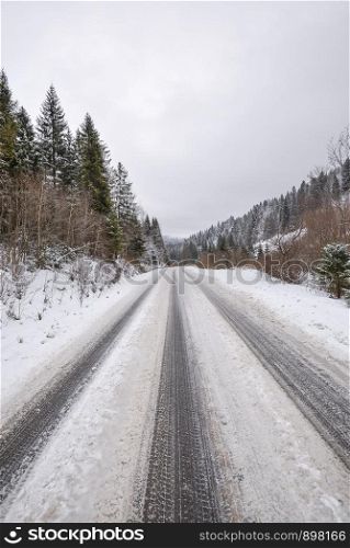 Winter forest landscape. Winter road and fir trees covered with snow. Copy space. Winter landscape.
