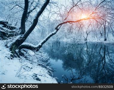 Winter forest on the river at sunset. Colorful landscape with snowy trees, river with reflection in water in cold evening. Snow covered trees, lake, sun and blue sky. Beautiful forest in snowy winter. Winter forest on the river at sunset. Colorful landscape with snowy trees