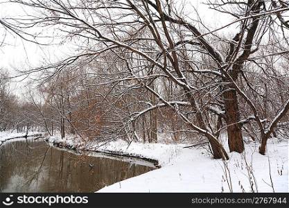 winter forest with river