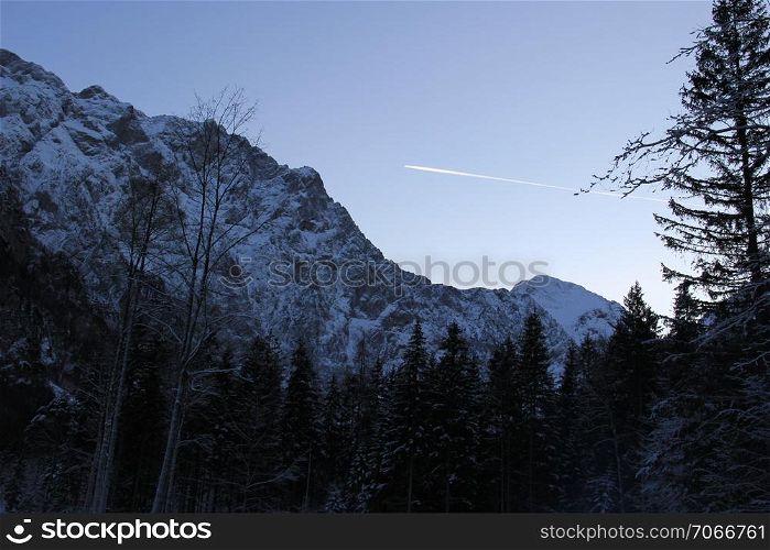 Winter forest with spruces and mountains behind