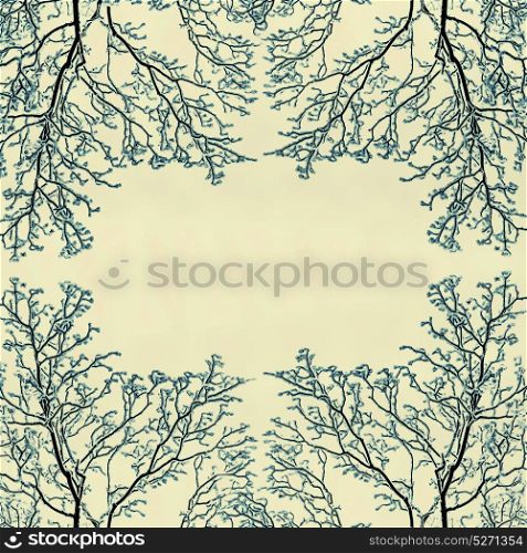 Winter frame background with snow covered tree branches