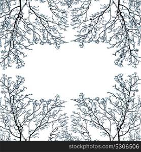 Winter frame with snow covered tree branches, isolated on white background