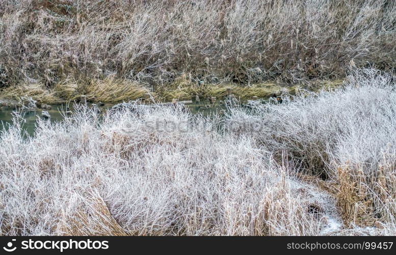 Winter frost clings to bushes on the bank of the Green River in Washington State.