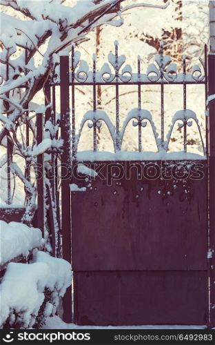 Winter gate. Garden gate in winter season