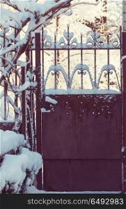 Winter gate. Garden gate in winter season