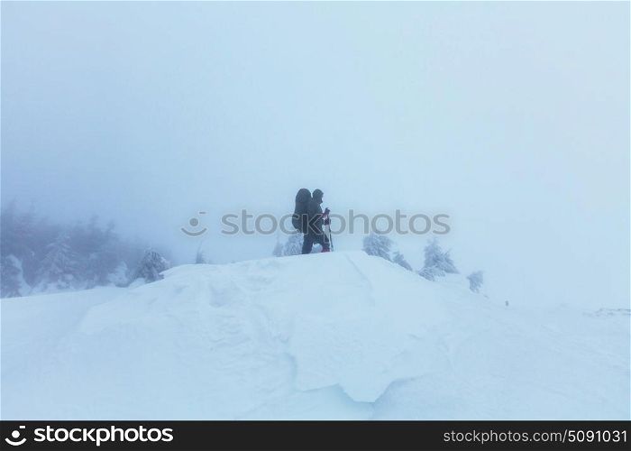 Winter hike. Hikers in the winter mountains