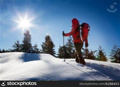 Winter hiking. A trekker, walking in the snow, takes a rest for admire the panorama. Sunny and frosty winter day. Italian Alps, Europe.