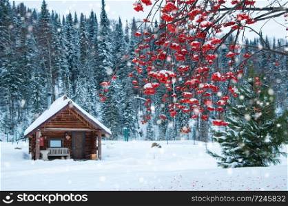 Winter holiday house in forest. Clean air, rest and relaxation. Unity with nature.. Winter holiday house in forest.