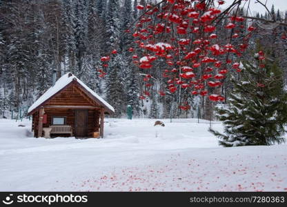 Winter holiday house in forest. Clean air, rest and relaxation. Unity with nature.. Winter holiday house in forest.