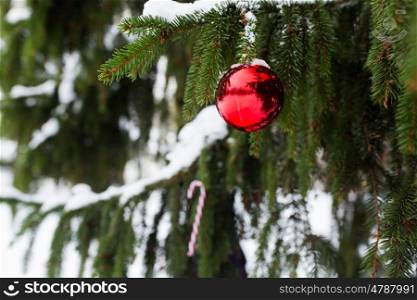 winter holidays and decoration concept - candy cane and christmas ball on fir tree branch covered with snow. candy cane and christmas ball on fir tree branch