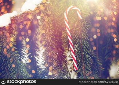 winter holidays and decoration concept - candy cane christmas tree toy on fir branch covered with snow. candy cane christmas toy on fir tree branch