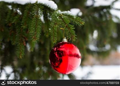 winter holidays and decoration concept - red christmas ball on fir tree branch covered with snow. red christmas ball on fir tree branch with snow