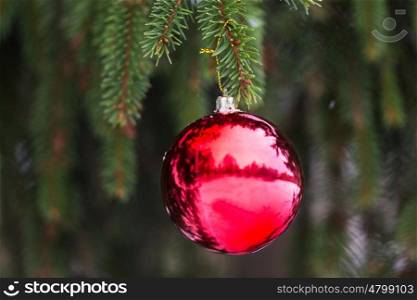winter holidays and decoration concept - red christmas ball on fir tree branch covered with snow. red christmas ball on fir tree branch with snow