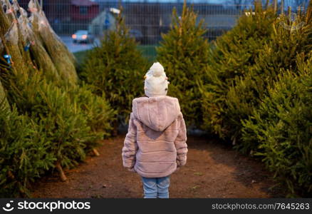 winter holidays and people concept - little girl choosing christmas tree at street market. little girl choosing christmas tree at market