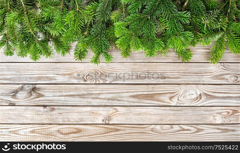 Winter holidays border. Christmas tree branches on wooden background
