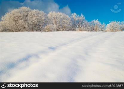 Winter icy landscape with bright shining day