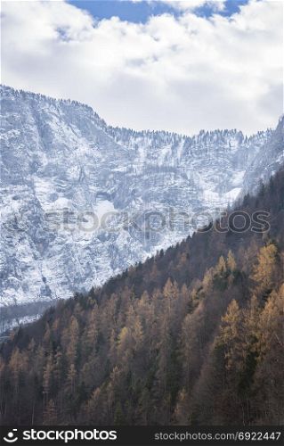 Winter image in Hallstatt, Austria taken in the middle of november with the autumnal forest and the snowy mountains in background