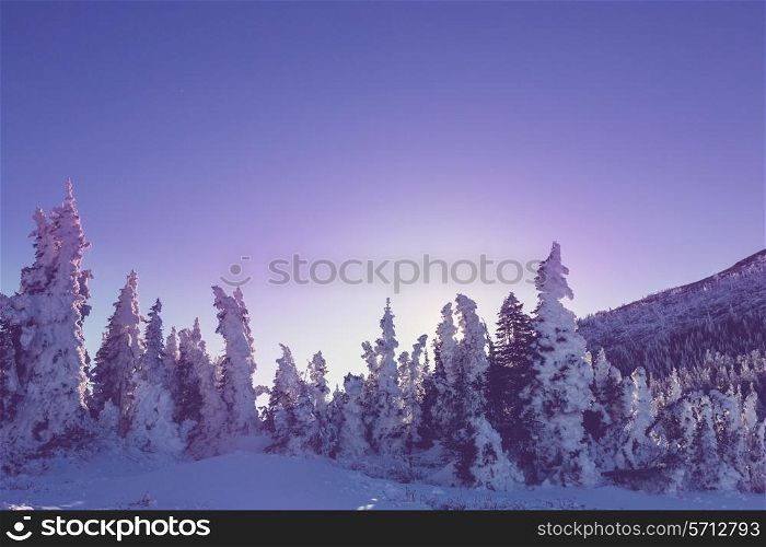 Winter in Glacier Park,Montana,USA