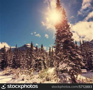 Winter in Glacier Park,Montana,USA