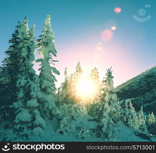 Winter in Glacier Park,Montana,USA