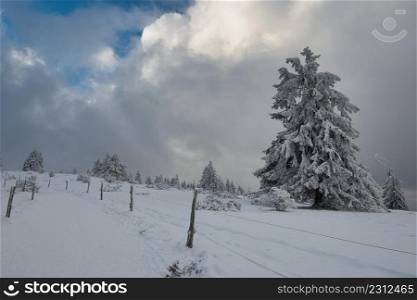winter in Grendelbruch in the Vosges mountains in France