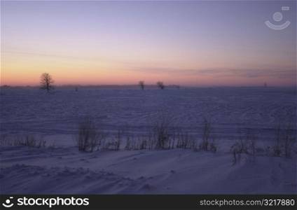 winter in Manitoba, prairie scene