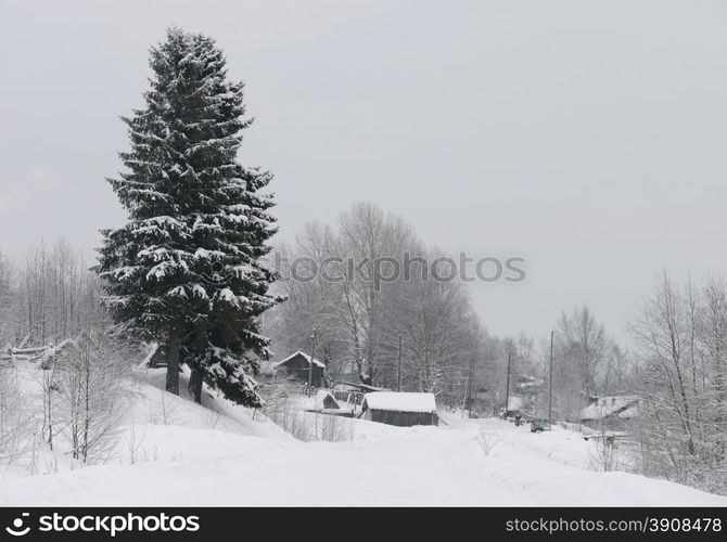 Winter in Russian village