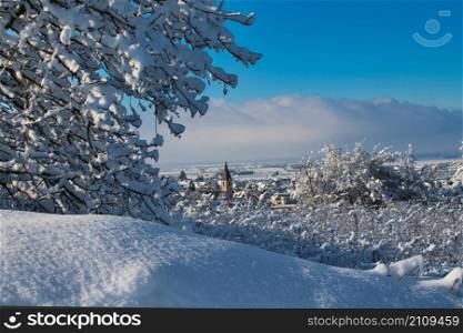 Winter in the Kaiserstuhl area in Germany