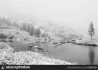 Winter lake, snow in coniferous forest on shore of mountain lake