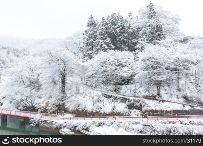 Winter Landcape with lake and village in Japan