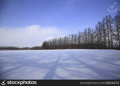 Winter landscape