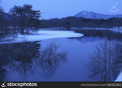 Winter landscape