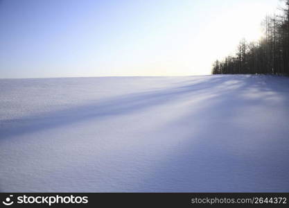 Winter landscape